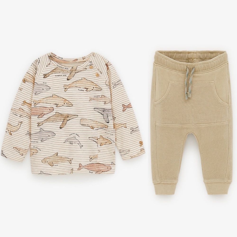 Zara Baby set: Marine animal top & ottoman pants